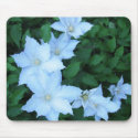 Clemantis in Bloom mousepads by JudyDunn Clemantis in Bloom mousepads