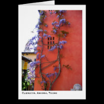 Clematis, Ascona, Ticino cards