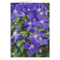 CLEMATIS, BLUE GREETING CARDS