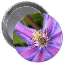 Clematis Button buttons