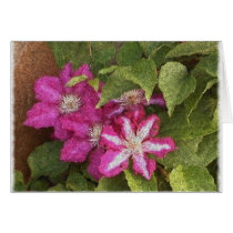 clematis cards by Eye4birds clematis cards
