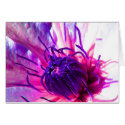 clematis cards