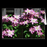 Clematis Card