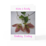 Clematis cirrhosa flower card