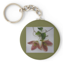 Clematis cirrhosa flower keychain