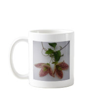 Clematis cirrhosa flower mugs