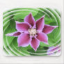 Clematis Flower Mouse Pad