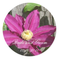 Clematis Flower stickers