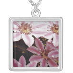 Clematis  flowers pendant