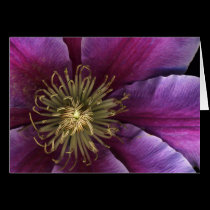 Clematis cards