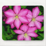 Clematis mouse pad