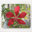 Clematis Mouse Pad mousepads