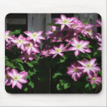 Clematis Mousepad