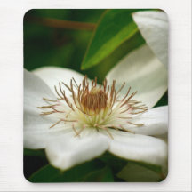 Clematis Mousepads