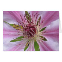 Clematis Nelly Moser Greeting Cards