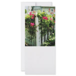 Clematis on Fence rack cards