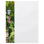 Clematis on Lamp Post flyers