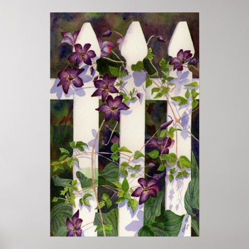 Clematis Poster Print print