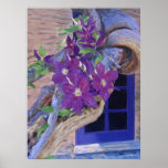 clematis poster/print
