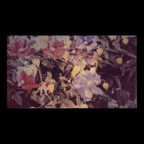 clematis purple and red posters