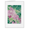 clematis red & purple cards by lionarted clematis red & purple cards