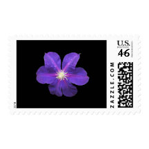 Clematis Stamp