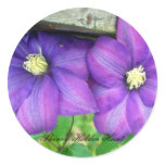 Clematis Clematis