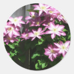 Clematis Sticker