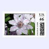 Clematis Vine postage