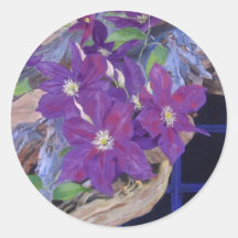 clematis vine sticker
