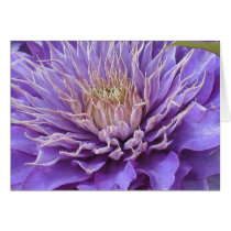 Clematis Vyvvyan Pennell Card