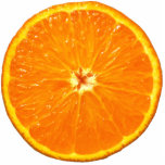 Clementine photo sculptures