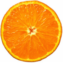 Clementine photo sculptures