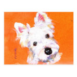 Clem's Annabel Postcards