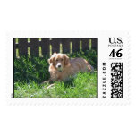 Cleo 2005 004 postage