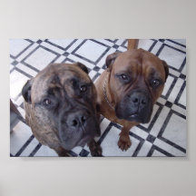 Cleo and Luna Posters