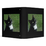 Cleo binders