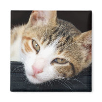 Cleo Cat Magnet