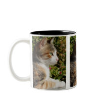 Cleo Cat Mug mugs