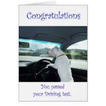 Cleo Passed Driving Test Cards
