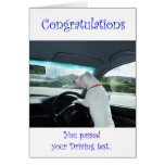 Cleo Passed Driving Test Cards