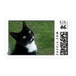 Cleo Postage Stamp