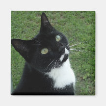 Cleo Refrigerator Magnets