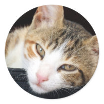 Cleo Stickers stickers