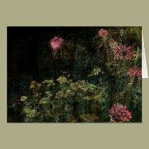 Cleome cards