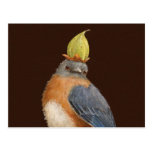 Cleome the bluebird postcard