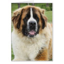 Cletus - Saint Bernard card