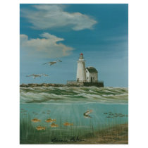 Cleveland Main Lighthouse 1998 flyers by bernie_baker Cleveland Main Lighthouse 1998 flyers