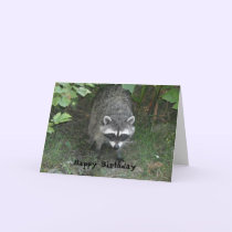 clever Raccoon Birthday Greeting cards