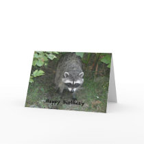 clever Raccoon Birthday Greeting Greeting Cards